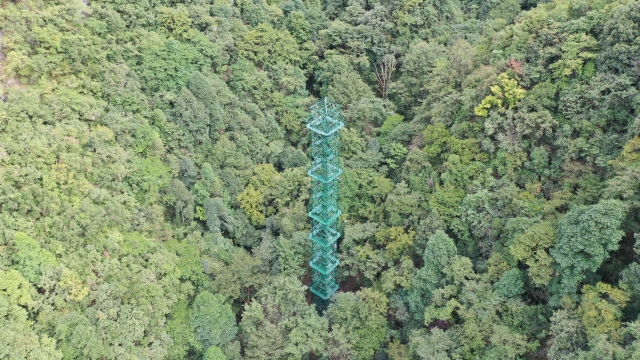 神农架站常绿阔叶林观测铁塔高60米